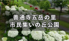 各季節で様々な花が楽しめる「花のまちづくり」の拠点 善通寺五岳の里 市民集いの丘公園